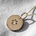 Paw Disc 9K Pendant